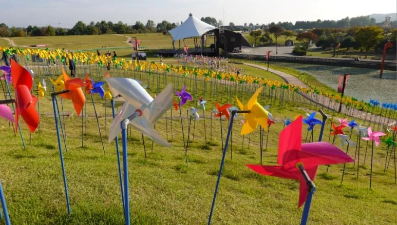 Colorful pinwheels at Imjingak Pyeonghwa Nuri Park near the Korean DMZ